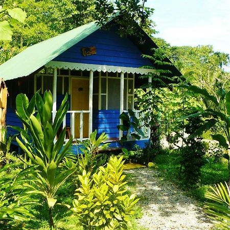 Hotel Casitas Mar Y Luz Puerto Viejo de Talamanca Экстерьер фото