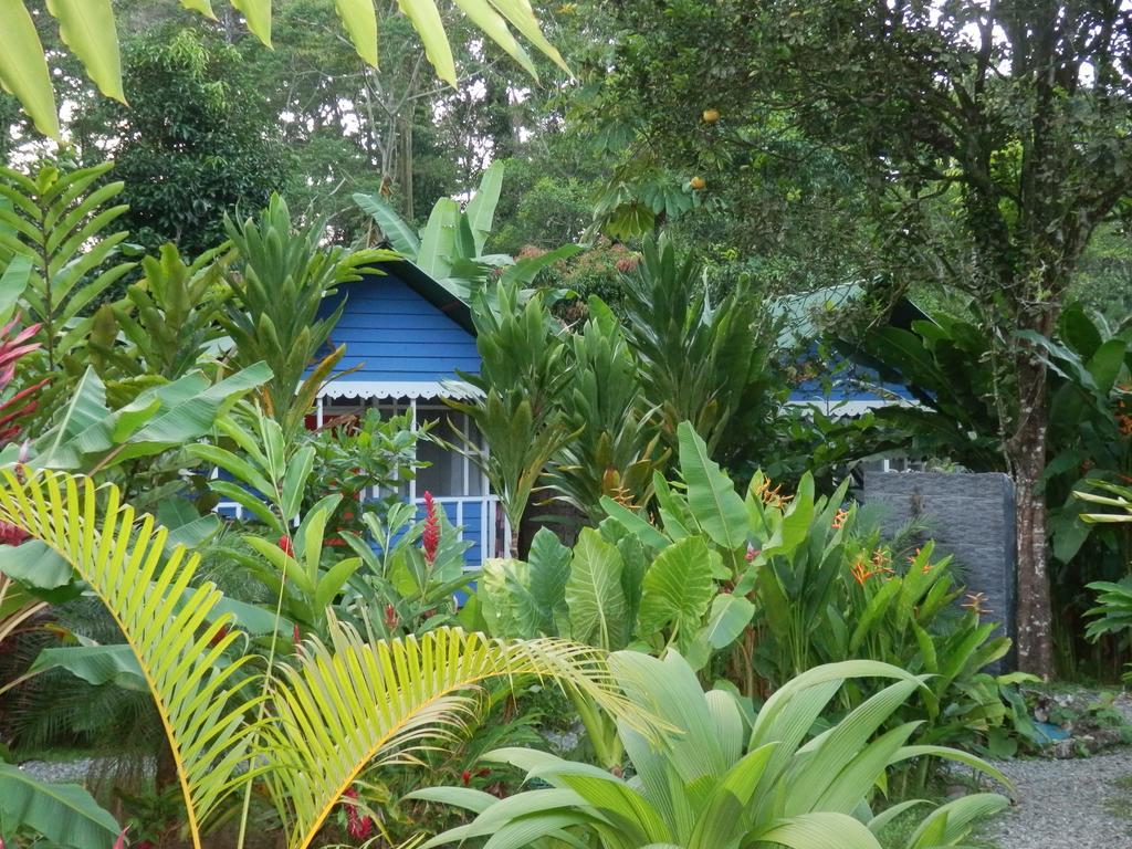 Hotel Casitas Mar Y Luz Puerto Viejo de Talamanca Экстерьер фото
