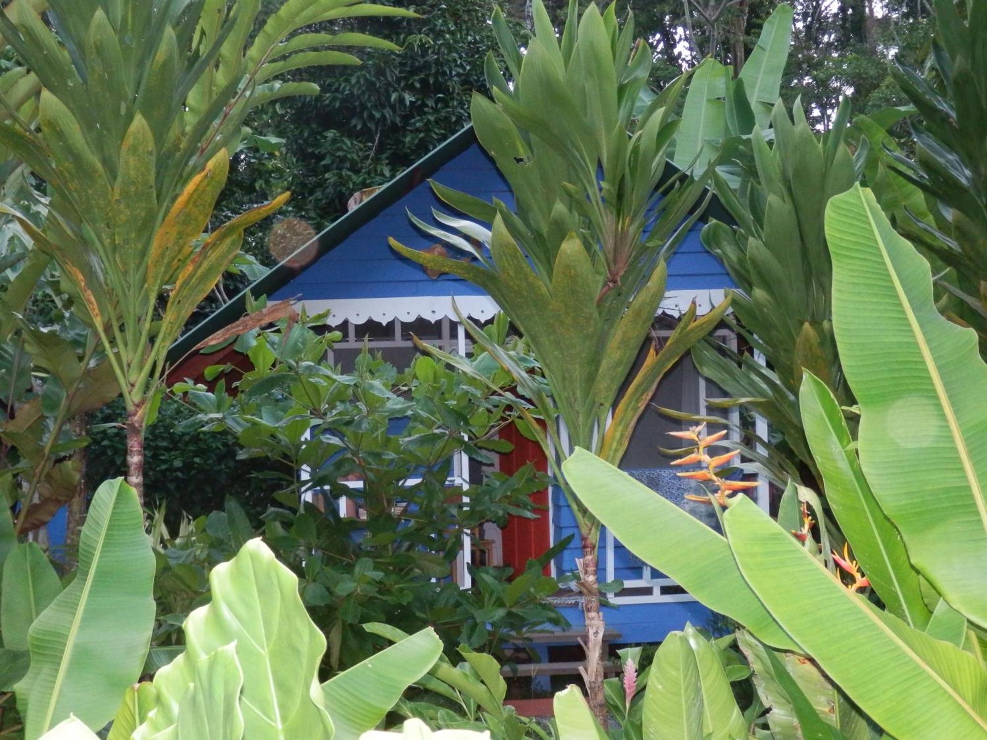 Hotel Casitas Mar Y Luz Puerto Viejo de Talamanca Экстерьер фото