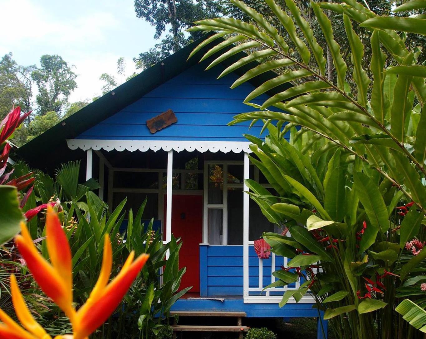 Hotel Casitas Mar Y Luz Puerto Viejo de Talamanca Экстерьер фото